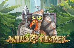 Wild Turkey